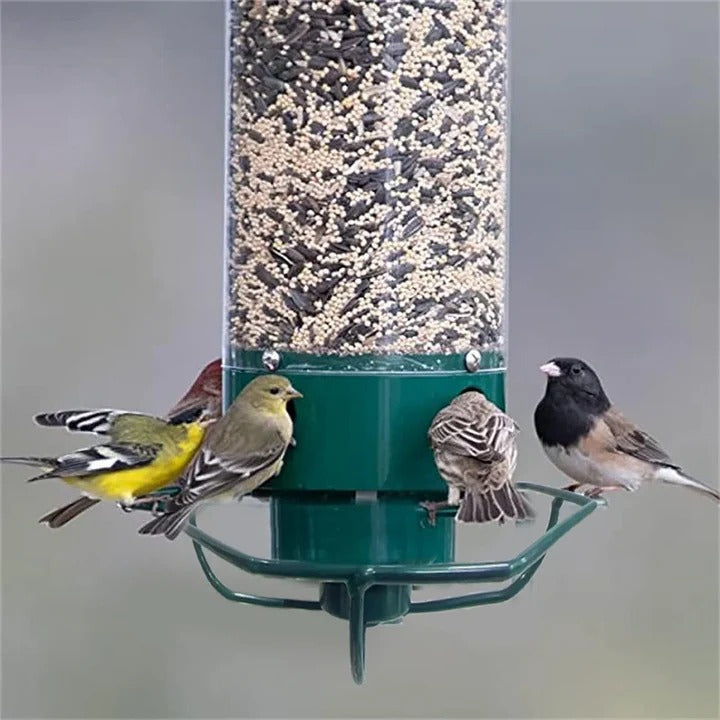 Comedero para aves silvestres con tubo de plástico transparente