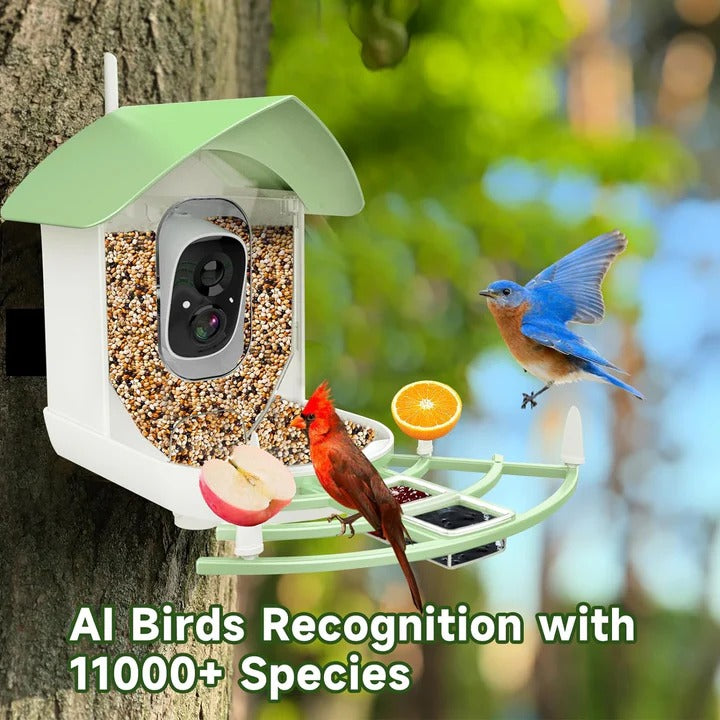Comedero inteligente para pájaros con cámara WiFi