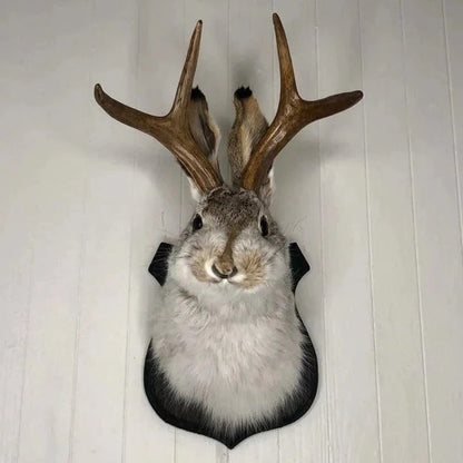Decorative Wooden Jackalope Wall Art - Ortekor