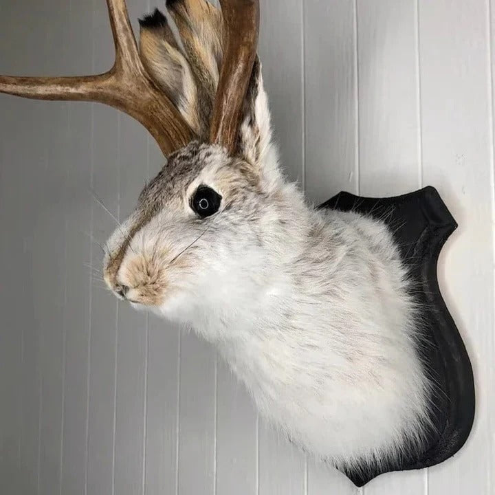 Arte de pared decorativo de Jackalope de madera
