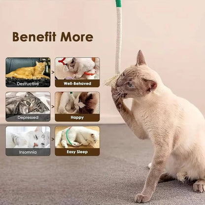 Divertido juego de juguetes para gatos con pelotas arrugadas y cuerda