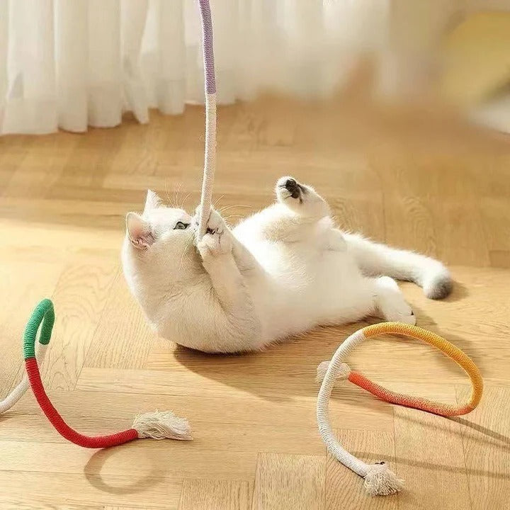 Divertido juego de juguetes para gatos con pelotas arrugadas y cuerda