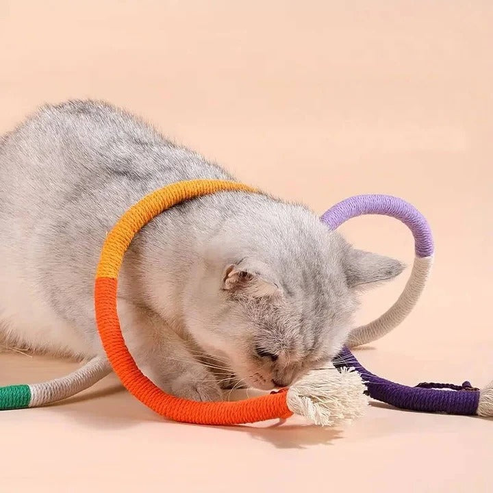Divertido juego de juguetes para gatos con pelotas arrugadas y cuerda