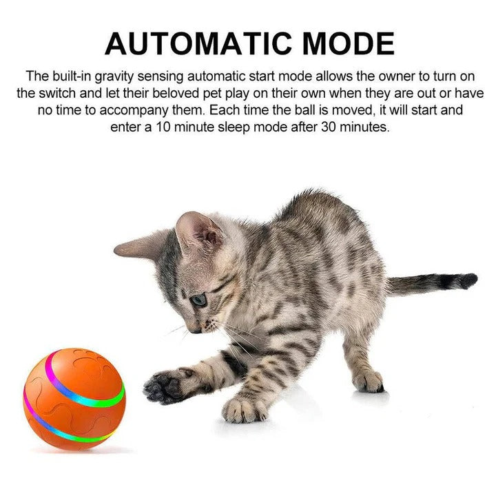Divertido juguete interactivo para mascotas con movimiento