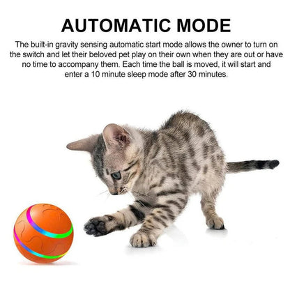 Divertido juguete interactivo para mascotas con movimiento