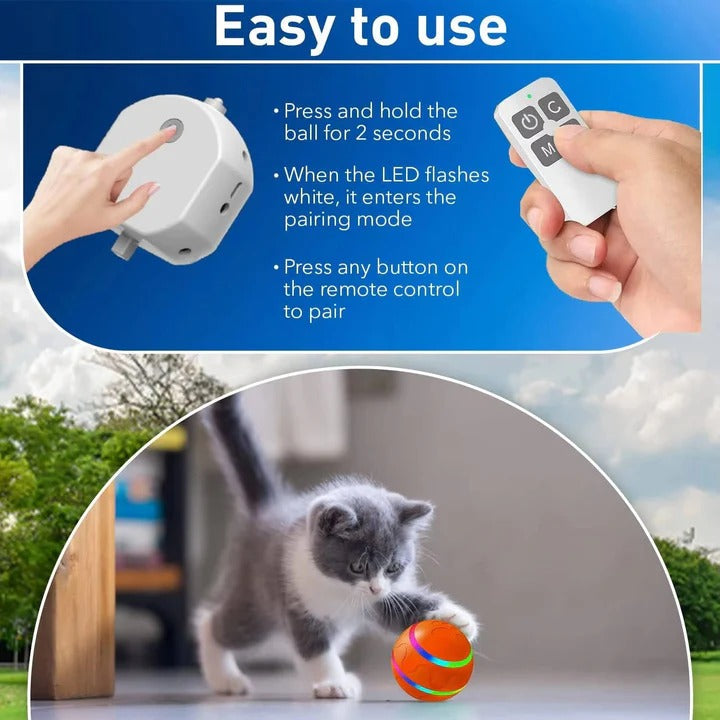 Divertido juguete interactivo para mascotas con movimiento