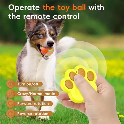 Divertido juguete interactivo para mascotas con movimiento