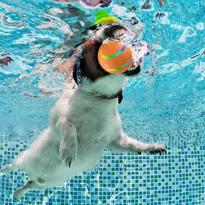 Divertido juguete interactivo para mascotas con movimiento