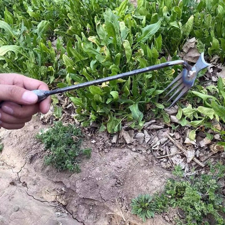 Extractor de malas hierbas fácil para jardín con 4 garras de metal