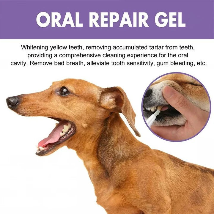 Gel dental natural para perros para dientes y encías sanas