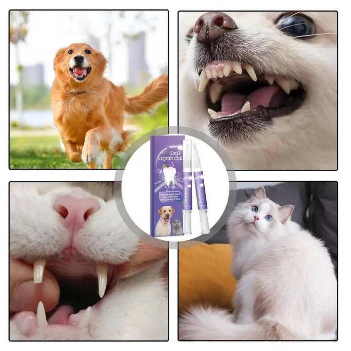 Gel dental natural para perros para dientes y encías sanas