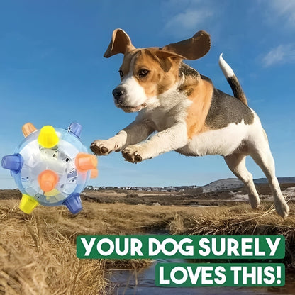 Divertido juguete interactivo de pelota rebotadora para perros