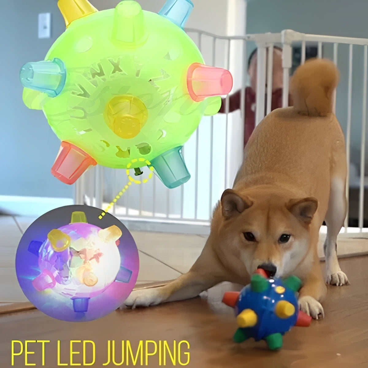 Divertido juguete interactivo de pelota rebotadora para perros