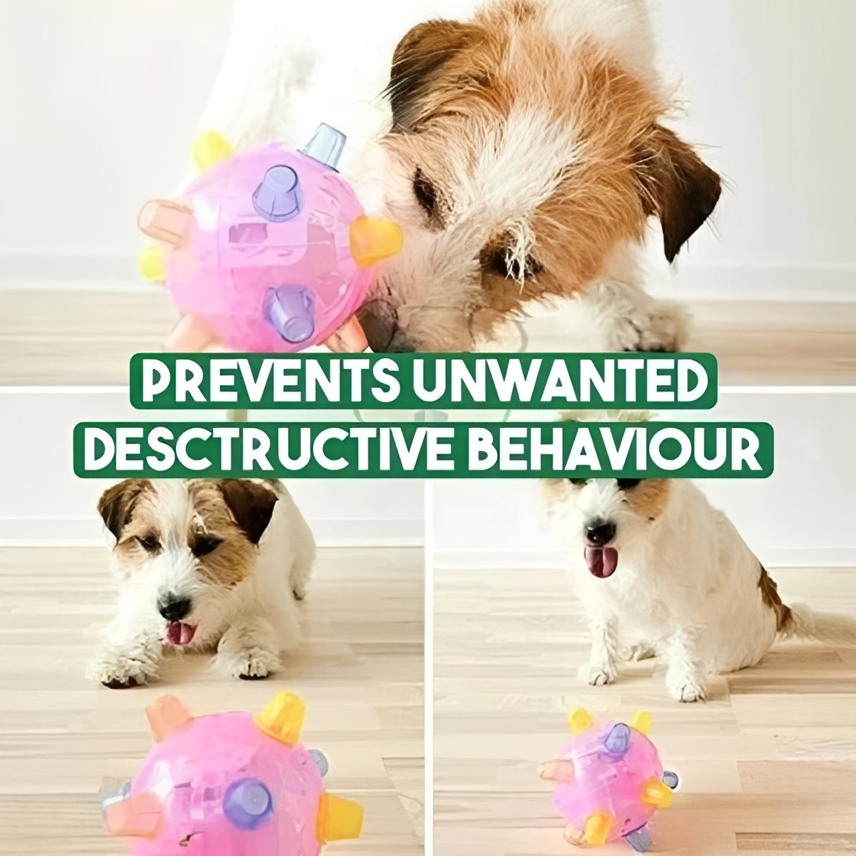 Divertido juguete interactivo de pelota rebotadora para perros