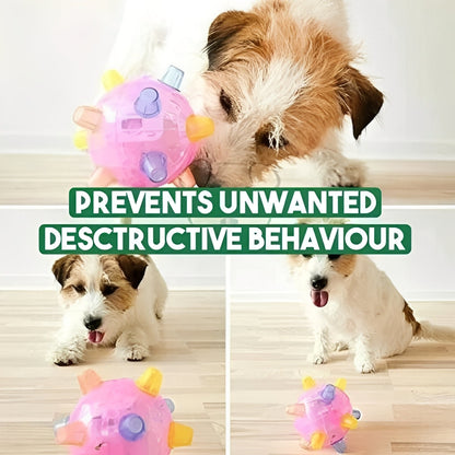 Divertido juguete interactivo de pelota rebotadora para perros