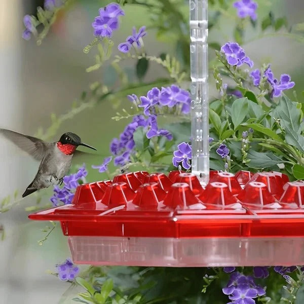 Comedero para pájaros colorido con trampa para hormigas incorporada