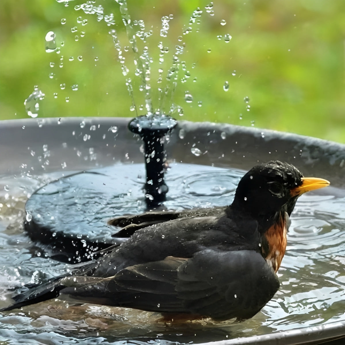 Fuente de agua solar para estanques y pájaros al aire libre