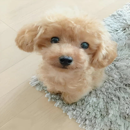 Juguete de perro suave y tierno con piel sintética exterior