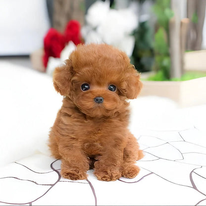 Juguete de perro suave y tierno con piel sintética exterior