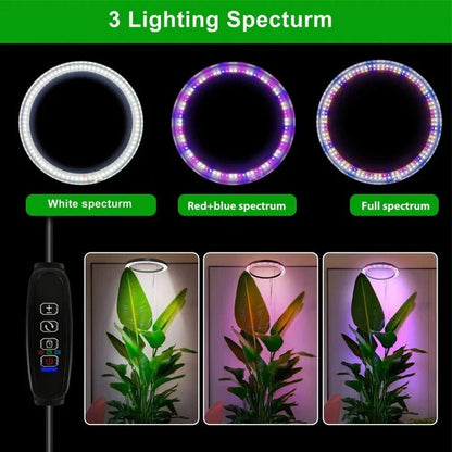 Lámpara de cultivo LED ajustable para plantas de interior con temporizador