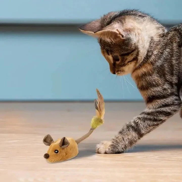 Interactive LED Cat Toy for Indoor Pets - Ortekor