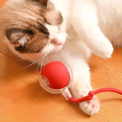 Juguete Interactivo Rodante para Mascotas con Cola de Plumas
