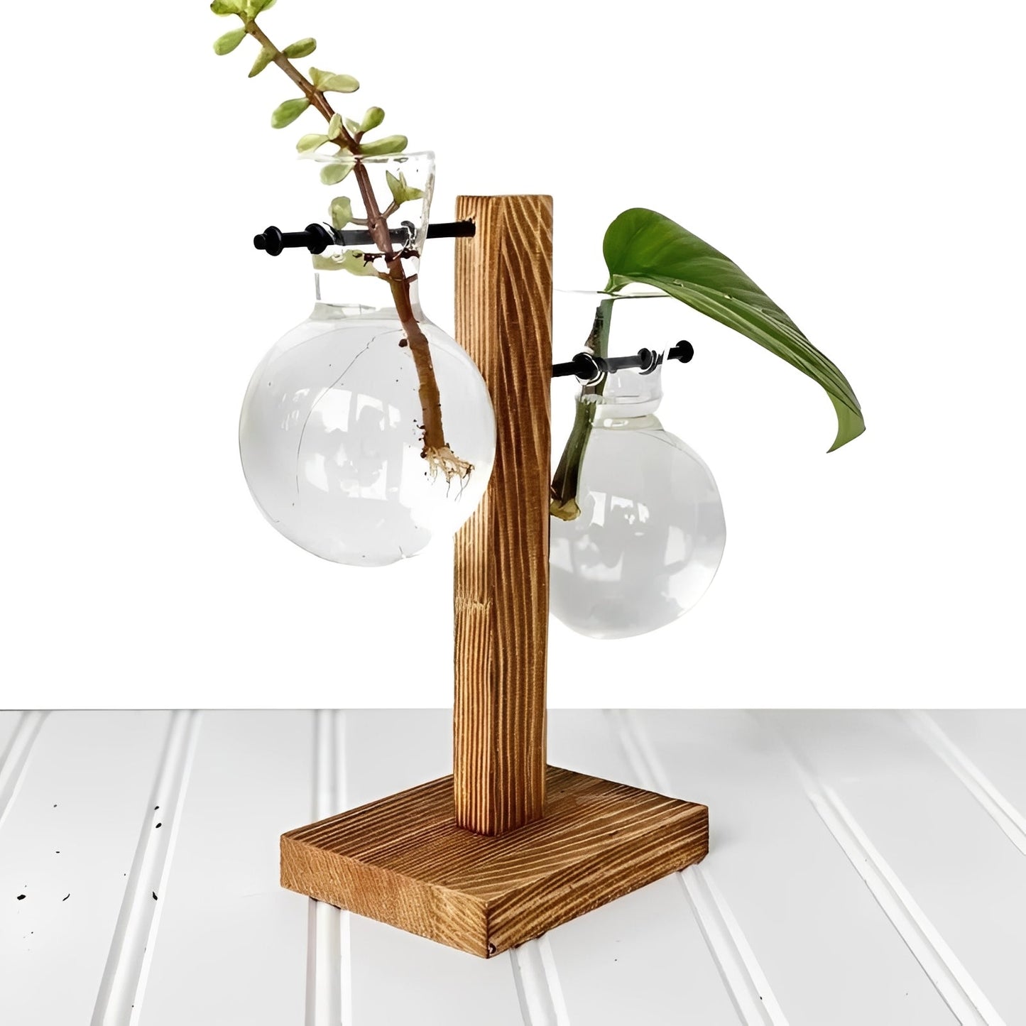 Maceta de cristal para interiores con base de madera