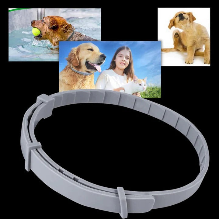 Collar eficaz para el control de garrapatas y pulgas en mascotas