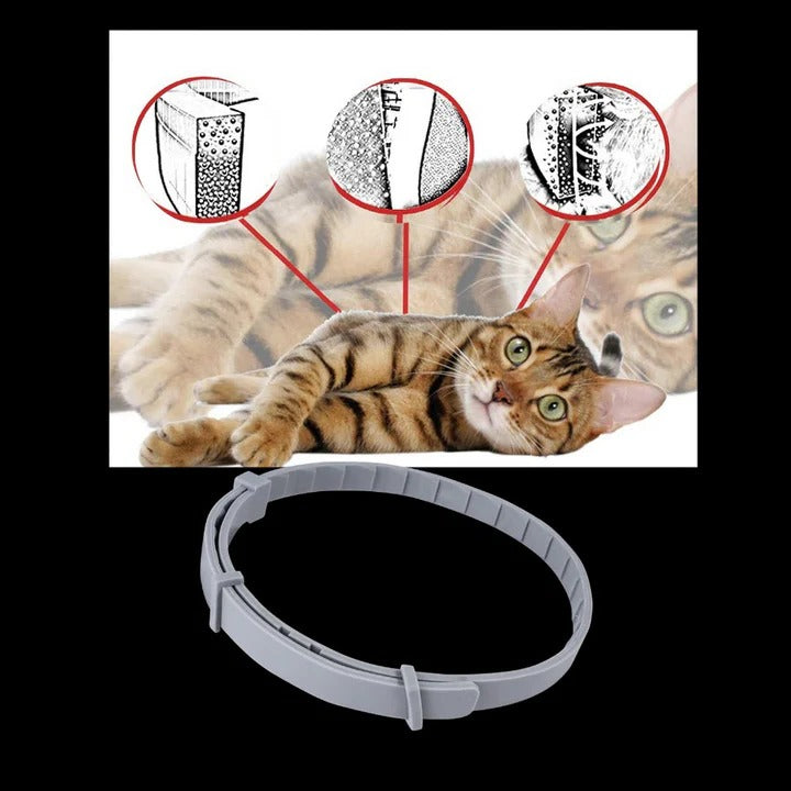Collar eficaz para el control de garrapatas y pulgas en mascotas
