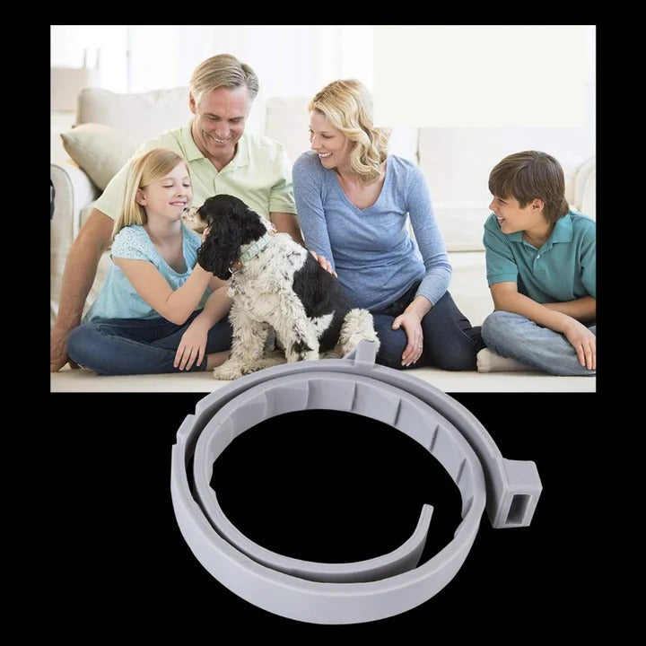 Collar eficaz para el control de garrapatas y pulgas en mascotas