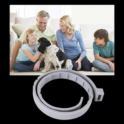 Collar eficaz para el control de garrapatas y pulgas en mascotas
