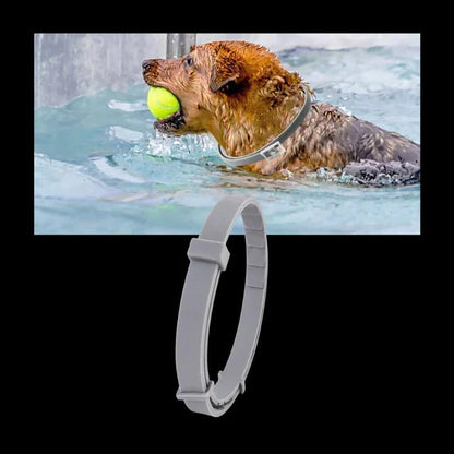 Collar eficaz para el control de garrapatas y pulgas en mascotas