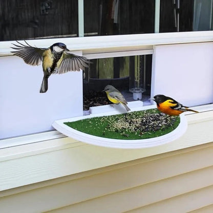 Comedero para pájaros fácil de colgar con ventosa potente