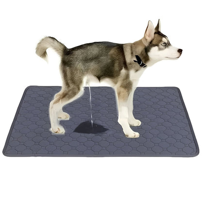 Empapadores de entrenamiento para accidentes de perros en interiores