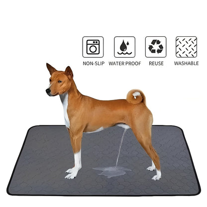 Empapadores de entrenamiento para accidentes de perros en interiores