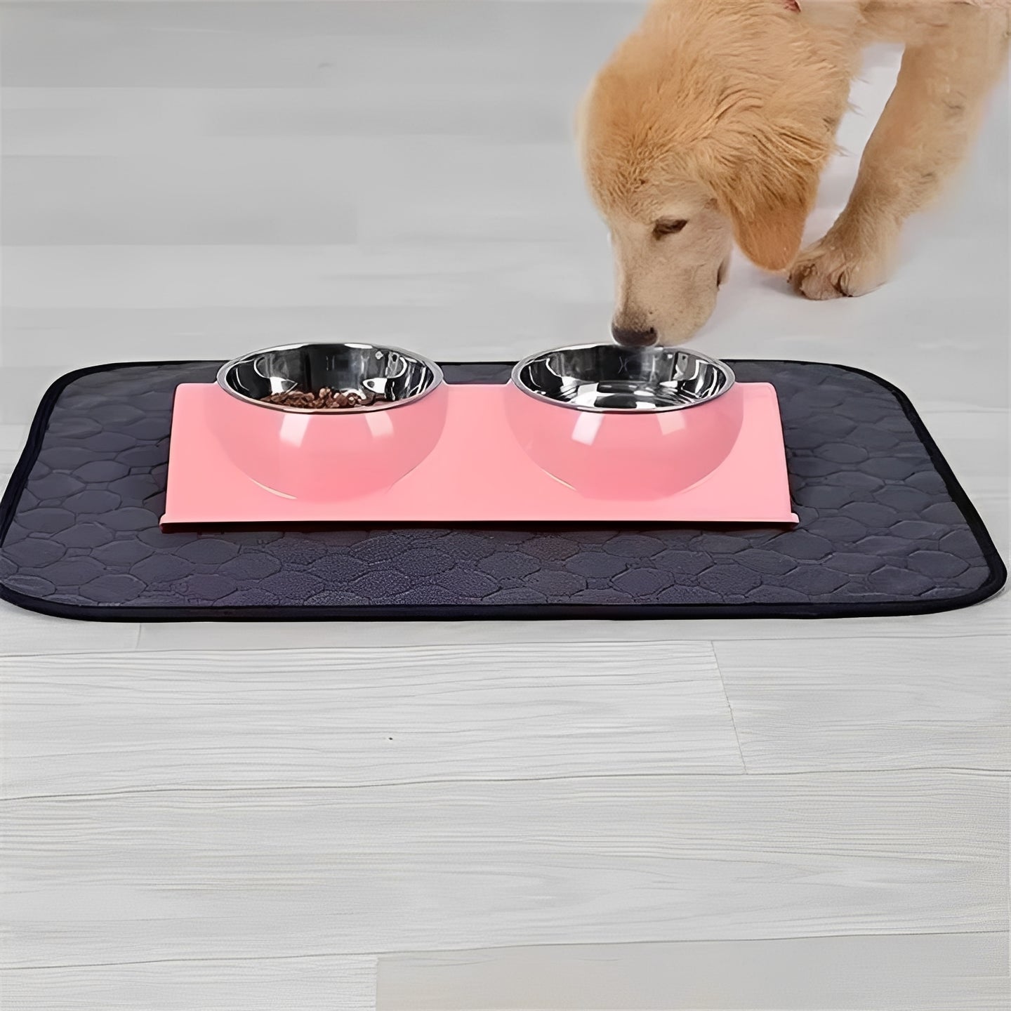 Empapadores de entrenamiento para accidentes de perros en interiores
