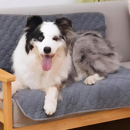 Empapadores de entrenamiento para accidentes de perros en interiores