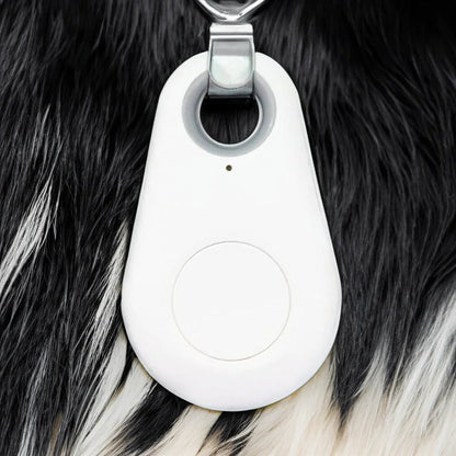 Bluetooth Pet Locator Tag for Dogs & Cats – Waterproof GPS Finder with Proximity Alerts, Safe Zone Notifications & Real-Time Tracking App