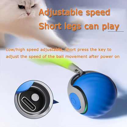 Juguete intercativo automático para gatos con pluma, 2 unidades