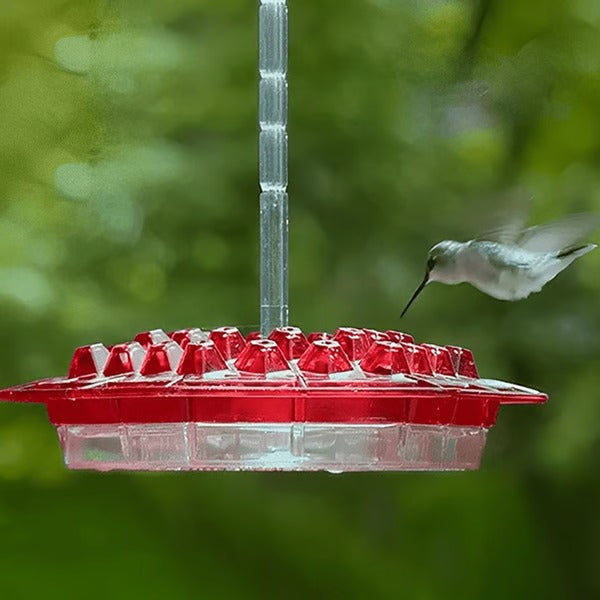 Red Glass Hummingbird Feeder 30 Feeding Ports Clear Reservoir with Ant Moat Hook for Backyard Garden Patio Outdoor Bird Watching