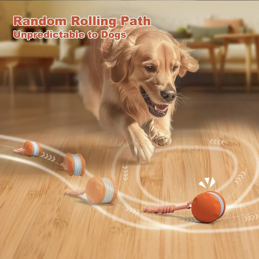 Pelota de Juguete Interactiva para Perros con Cuerda, Set de 2 Unidades