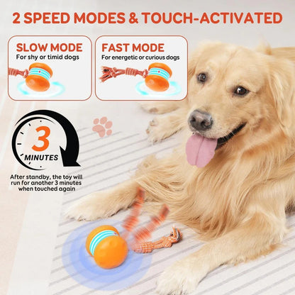 Pelota de Juguete Interactiva para Perros con Cuerda, Set de 2 Unidades