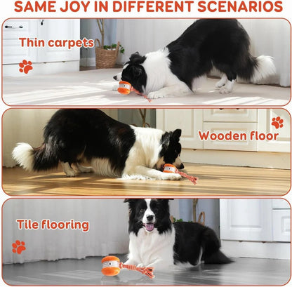 Pelota de Juguete Interactiva para Perros con Cuerda, Set de 2 Unidades