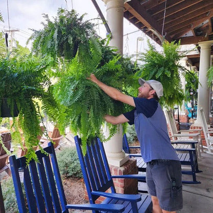 Outdoor Faux Fern Bush – Weatherproof Synthetic Greenery for Porch, Patio & Yard Decor