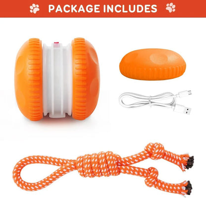 Pelota de Juguete Interactiva para Perros con Cuerda, Set de 2 Unidades