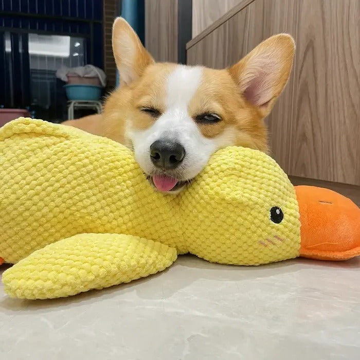 Adorable patito de peluche que grazna