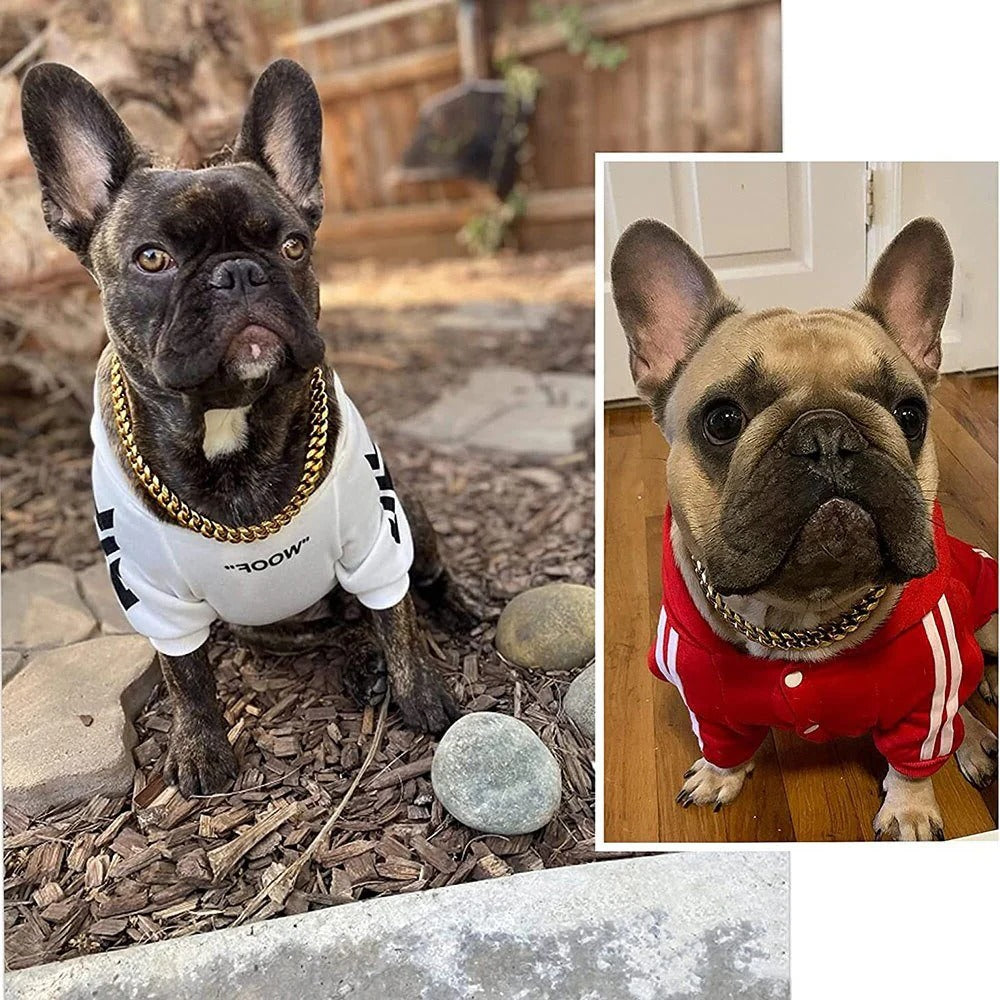 Collar de metal duradero para cachorros en varios colores