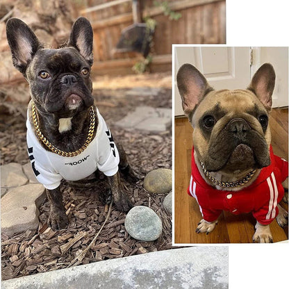Collar de metal duradero para cachorros en varios colores