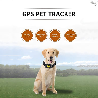 Collar Inteligente Rastreador de Mascotas con GPS en Tiempo Real