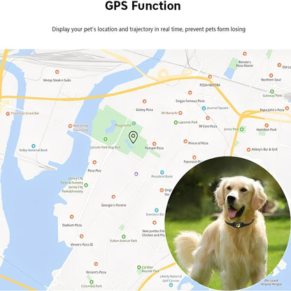 Collar Inteligente Rastreador de Mascotas con GPS en Tiempo Real